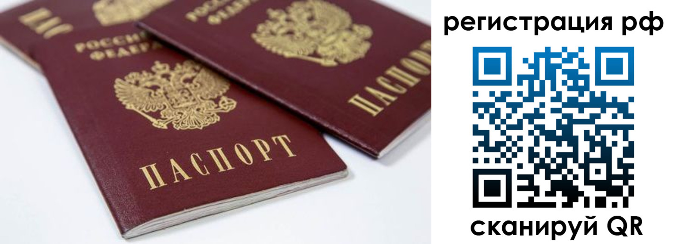 прописка регистрация в Димитровграде